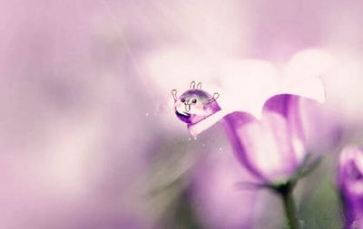 八字比肩的含義，八字比肩的特性及優缺點