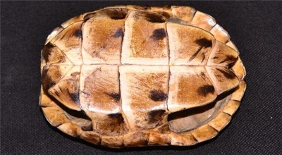 七殺的意義基特徵，女命天干月柱七殺好不好？