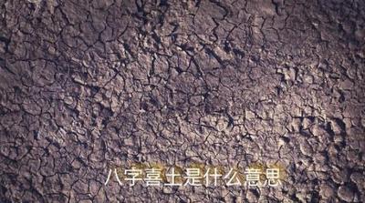 八字五行喜土什麼意思？五行喜土如何補救
