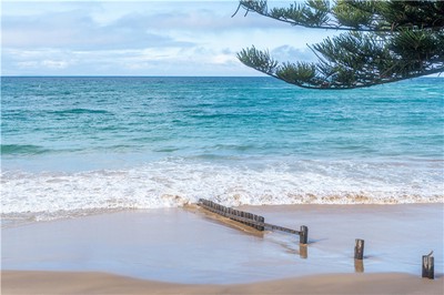 八字過弱時如何正確選取喜用神？命理師詳解取用技巧
