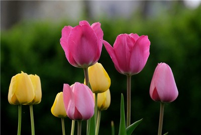 地支六破究竟意味著什麼？命理師詳解相破關係與化解之道