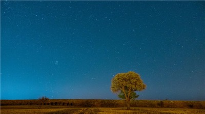 八字中哪些特徵預示著你與兄弟情深？