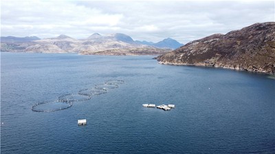 八字羊刃格如何影響命運走向？詳解羊刃格的吉凶變化