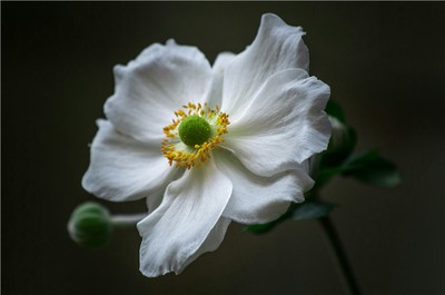 男人八字無財會怎樣？命理師詳解財運與性格特徵