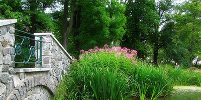 八字身強是什麼意思？八字身強人運勢怎樣