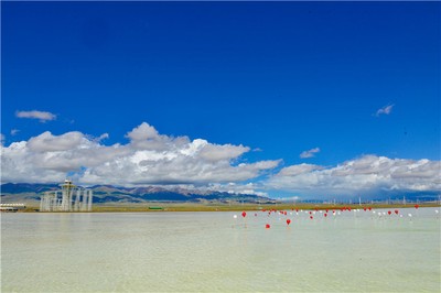 木命人如何選擇最適合自己的行業？從八字五行看職業方向