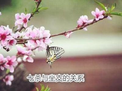 八字七殺與不同坐支關係解析