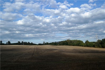 八字命理如何揭示健康隱患與疾病徵兆？