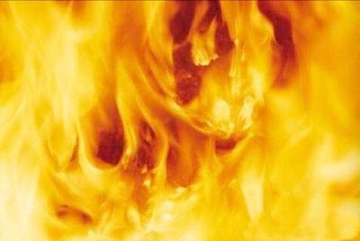 八字五行對應的行業大全