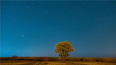 八字比劫奪財究竟意味著什麼？如何化解這種格局