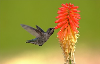 八字水多的人真的能擁有富貴命嗎