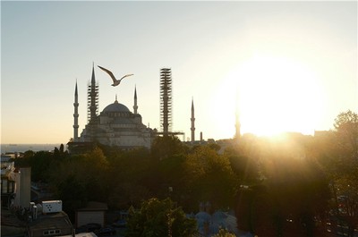 十天幹日元如何影響命運走向？資深命理師解析斷命心法