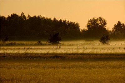 命宮在四柱中如何影響人生運勢？