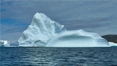 大林木命人五行缺失如何影響命運？專業解析與調理指南