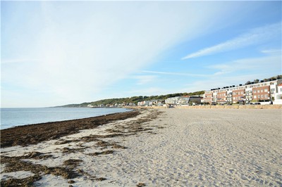 丙火生於辰月命理如何？解析春季末火勢與調候之道