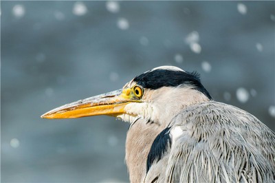 天干大富大貴的八字有哪些特徵與條件？