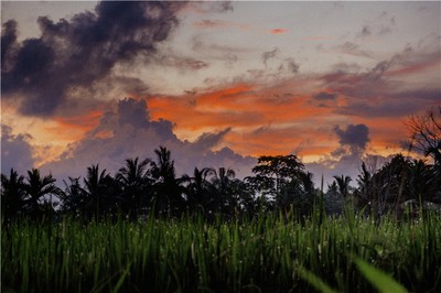八字化氣格是什麼？如何判斷甲己化土、乙庚化金的命局格局？