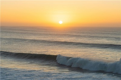 辛金生於巳月命理如何？詳解調候用神與格局成敗