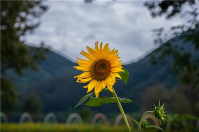 五行缺土的人穿衣要避開哪些顏色？