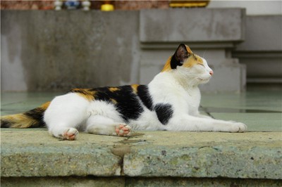 八字中哪些特徵暗示著婚外情的潛在可能？