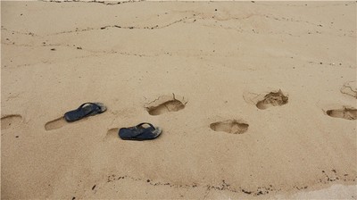 桑拓木命人五行缺失如何影響命運走向？