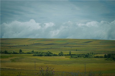 八字水多的人聰明卻任性？五行水旺的命理特徵與調理之道