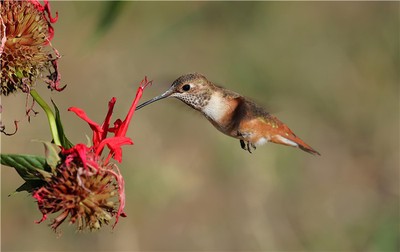 財星在八字中究竟代表什麼？從位置到強弱全面解析