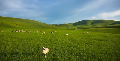 八字財多身弱好不好？八字財多身弱化解方法