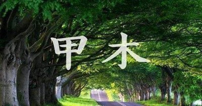 八字天干甲木乙木特殊偏好解析