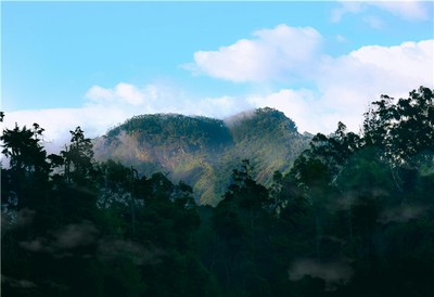 月柱正財究竟藏著怎樣的財富密碼與人生啟示？