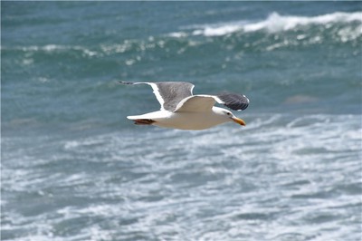 納音合婚如何判斷姻緣好壞？五行相生相剋全解析