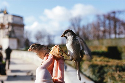 淵海子平幽微賦中暗藏哪些人生玄機？
