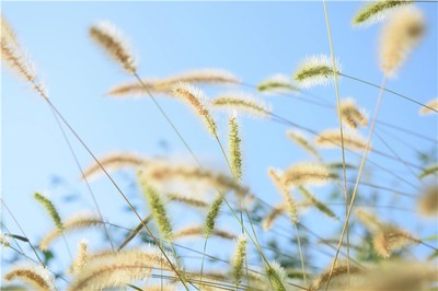 命中五行相剋如何化解？資深命理師教你十種實用方法