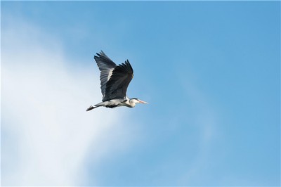 如何通過八字十神，看清一個人的真實品性與格局？