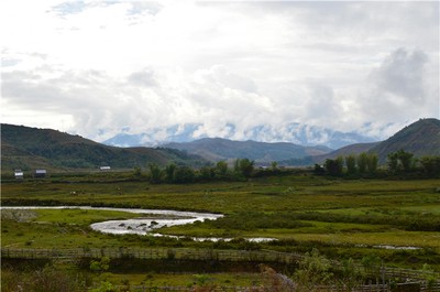 土命人適合從事哪些行業？從五行角度解析職業選擇
