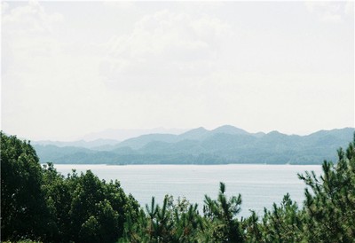 申金在十二地支中如何影響人際關係與運勢走向？