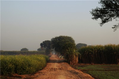 時柱帶偏財的人命運如何？晚年真的能大富大貴嗎？