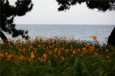 八字食神究竟代表什麼？如何影響你的財富與性格？