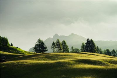 什麼樣的八字組合，容易在婚姻中給丈夫帶來壓力？