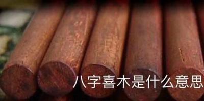 八字喜木是什麼意思，八字五行喜沒有什麼建議