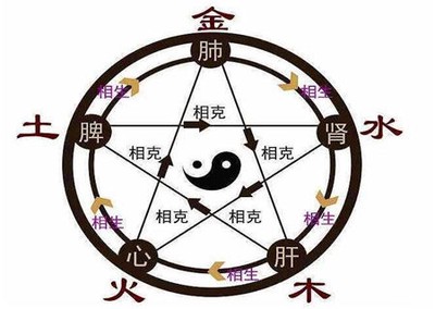 八字五行代表身體部位解析