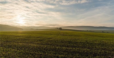 八字從弱格的長相有哪些特徵？