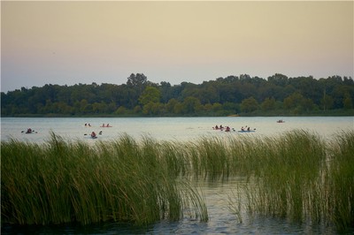 八字命理中如何判斷五行強弱？通根是關鍵